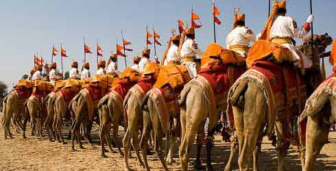 About Desert Festival